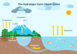 Geography Diagram Water Cycle Project Water Cycle Water Cycle Diagram