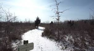 Orchard Trail 0 1 Mile In Fishers In At Ritchey Woods Nature Preserve Hiking Nature Outdoors Nature Preserve Trail Nature