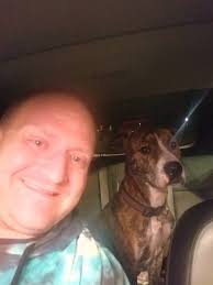 What to do with a found dog in distress?