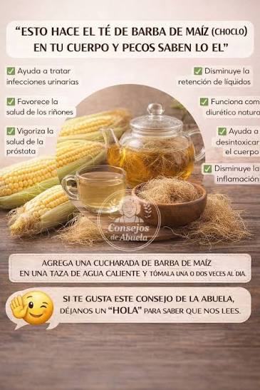 🌽✨ El té de barba de maíz (choclo) es uno de esos remedios caseros que muchas abuelas han usado durante generaciones. Puede parecer algo simple, pero la barba del maíz guarda propiedades