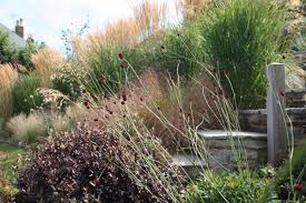 Wheelbarrow Gardening Garden Landscaping Founded By Darren Hawkes