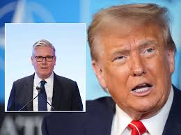 Squirrel attack: 18 people attacked in two days by bloodthirsty animal