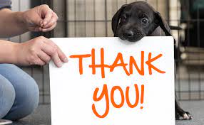 Thank You For Everything You've Done For Animals | Aspca