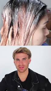 Brad Mondo (@bradmondonyc)