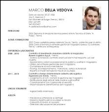 Modello Curriculum Addetto Al Magazzino Livecareer
