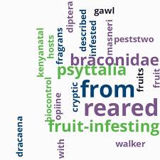 Image result for Lettowianthus stellatus