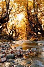 Accurate Psychic Readings Call Text Whatsapp 27843769238 E Mail Psychicreading8 Gmail Com Http He Beautiful Nature Nature Photography Nature Photos