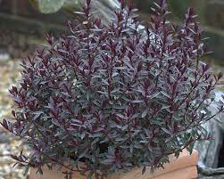 Pin On Favorite Places Spaces