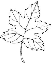 This is a digital pdf of leaf coloring page. Coloring Page Leaf Coloring Pages 3