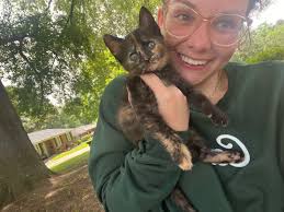 Paw Project of Georgia