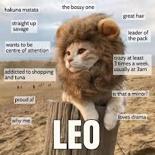 Zodiac Cats Leo Zodiac Facts Astrology Leo Zodiac Signs Leo