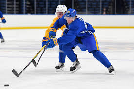 We did not find results for: Amerks 2020 2021 Training Camp Roster Lga Hockey News Info
