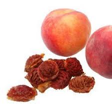 Growing Peach Trees From Pits Growing Peach Trees Peach Trees Tree Seeds