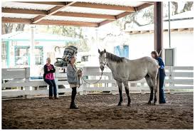 Myia_equestrian i do not own the music. Barn Tour Archives Shellywilliamsphotography Com