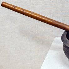 Image result for Hua gabonii