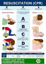 Autoe Cpr Resuscitation Chart Large Sign Sticker Pvc True