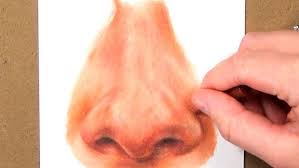 Realistic Nose In Coloured Pencil Real Time Tutorial Kirsty Partridge On Patreon Colored Pencils Nose Drawing Color Pencil Art