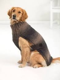 These are all native birds of south central america. Free Knitting Pattern For Large Dog Sweater Google Search Large Dog Sweaters Knitting Patterns Free Dog Diy Dog Sweater