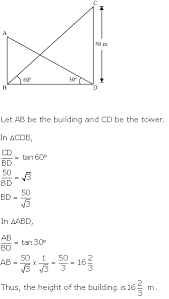 Figure 8.1 shows the structure of a typical synovial joint. Chapter 9 Some Applications Of Trigonometry Ncert Solutions For Class 10 Mathematics Cbse Topperlearning
