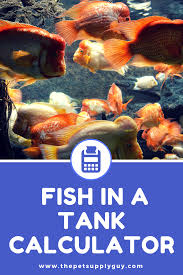 How Many Fish In A Tank Calculator Fish Tank Sizes Tropical Fish Aquarium Aquarium Fish Tank