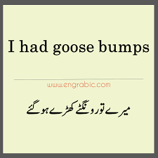 Urdu To English Sentences Translation Exercise Pdf In 2020 English Sentences Basic English Sentences English Phrases