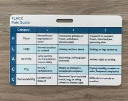 Image result for FLACC Scale