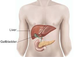 Gallstones form when there is an imbalance in these substances, such as too much cholesterol, too much bilirubin, or not. Cholecystectomy And Exploration Of The Bile Duct Healthdirect