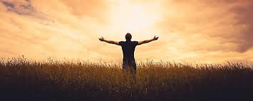 Then, order glory 78 on ppv and watch the superfight series for free on september . Glory Deflectors Jtangovc Com