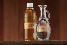 Apple Cider Vinegar Vs White Vinegar Differences Similarities My Fermented Foods