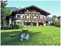 Where is hotel haus seeschwalbe located? Haus Seeschwalbe