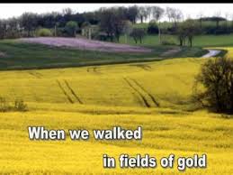 The most beautiful song by sting. Fields Of Gold Lyrics Sting Youtube