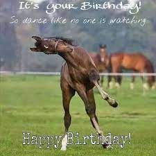 Horse Saying Happy Birthday 17 Best Images About Birthday Greetings On Pinterest Horses Happy Birthday Horse Horse Meme
