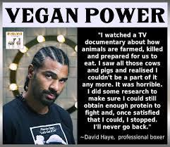 We did not find results for: Danke David Haye Dr Med Henrich Provegan Stiftung