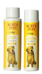 Top 10 Dog Grooming Tips With Images Dog Dry Skin Shampoo Dog Dry Skin Hypoallergenic Shampoo
