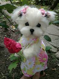 Ooak Needle Felted Maltese Puppy Dog Dog Purse Cute Baby Animals Baby Dogs Maltese Puppy