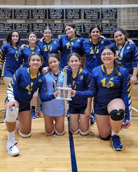 Image result for Blue 1996 CIL