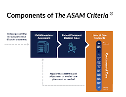 Using The Asam Criteria To Modernize And Maximize Success