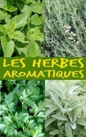 Les Herbes Aromatiques Dans La Cuisine Je Cuisine Mon Potager Herbes Aromatiques Aromates Herbe