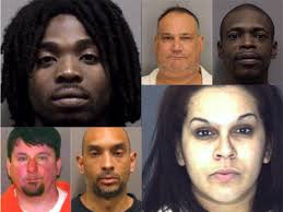 Putnam Set to Create Animal Abuse Registry