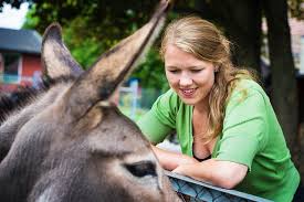 Maybe you would like to learn more about one of these? Kva Veit Du Om Miljopartiet Dei Grone
