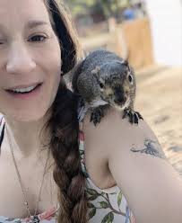 UPDATE: The chains were donated to a great Veteran serving our community  with Search and Rescue Thank you Jay Hudson! Free to good home! We sold an  SUV and no longer need