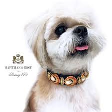 pin by elena movchan on oshejnik you look pretty how to look pretty dog collar