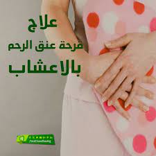 علاج قرحة عنق الرحم بالاعشاب