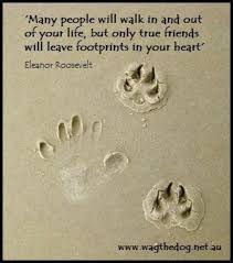 Losing Your Dog Quotes Dog Quotes Quotes True Friends