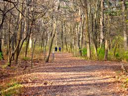 Swallow Cliff Trail Palos Park Il Outdoorsy Park Country Roads