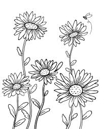Download and print these daisy coloring pages for free. Free Daisy Coloring Page