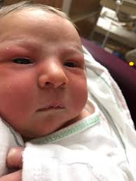 GingerSnap Visions -...