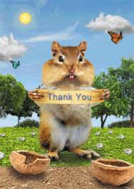With tenor, maker of gif keyboard, add popular thank you cat animated gifs to your conversations. Thank You Cat Gifs Get The Best Gif On Gifer