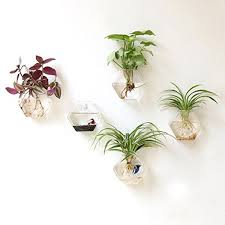 2 plantas para la decoración de terrazas pequeñas. 40 Ideas Para Decorar Las Paredes Mil Ideas De Decoracion Plantas En Pared Plantas De Interior Decoracion Plantas