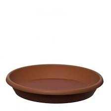 4.7 out of 5 stars 6,843. Flower Pots Saucer Terracotta Brown